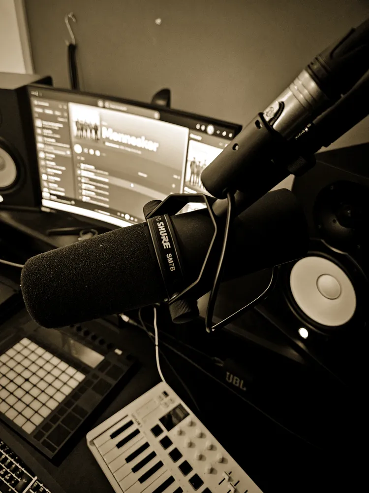 Dynamic broadcast microphone on a boom arm in front of the monitors