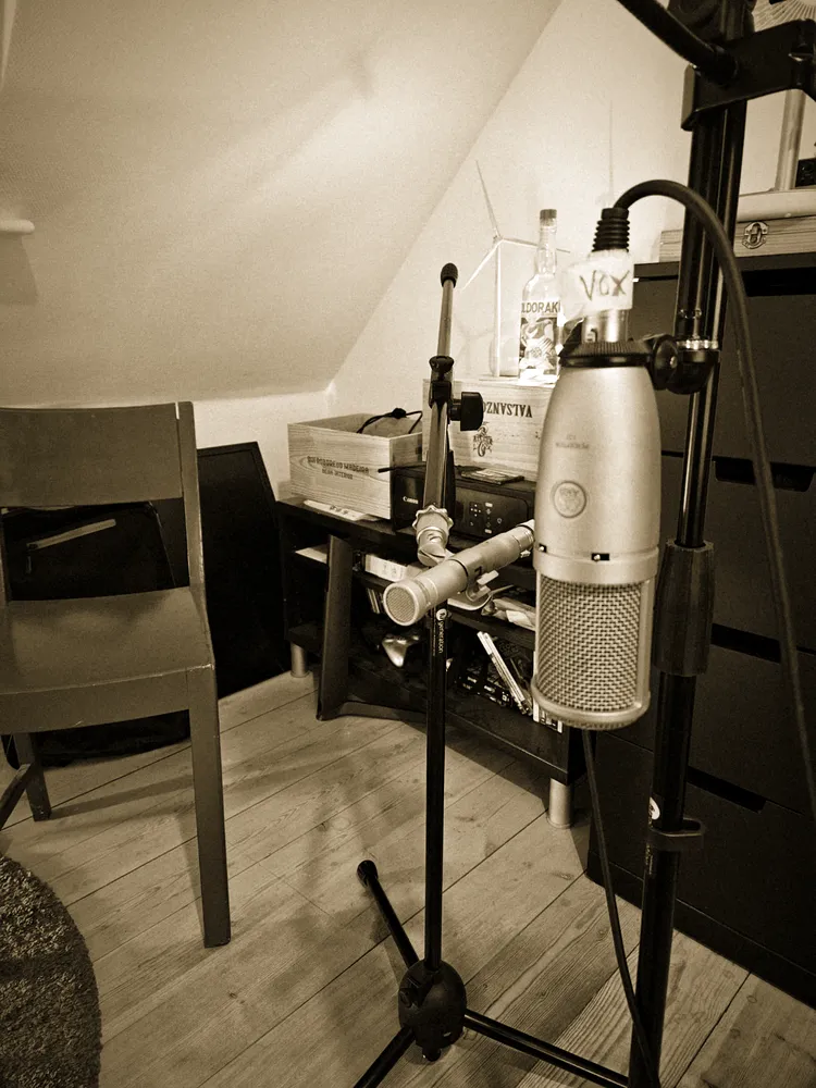 Large-diaphragm condenser microphone in its shock mount, ready for a vocal take
